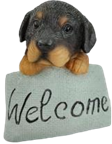Dog Product