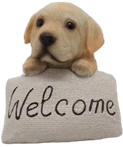 Dog Product