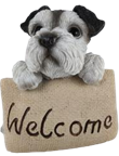 Dog Product