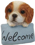 Dog Product