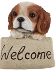 Dog Product