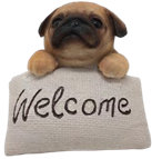 Dog Product