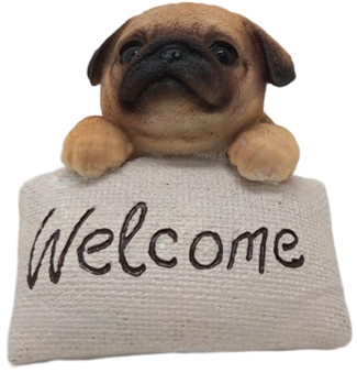 Dog Product