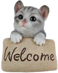 Cat Product