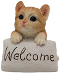 Cat Product