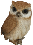 Owl Product
