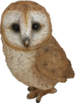 Owl Product