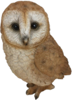 Owl Product