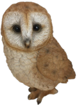 Owl Product