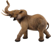Animal Ornament