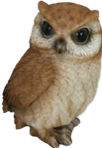 Owl Product