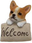 Dog Product