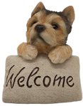 Dog Product