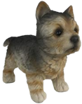 Dog Product
