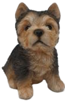 Dog Product