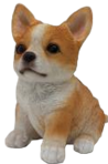 Dog Product