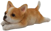 Dog Product