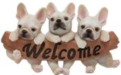 Dog Product
