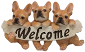 Dog Product