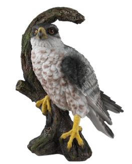 Bird Product