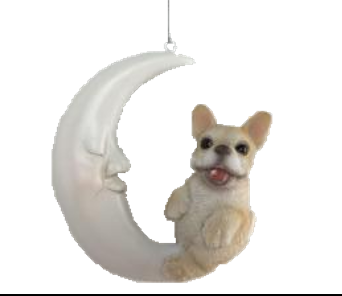 Dog Product