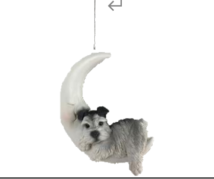Dog Product