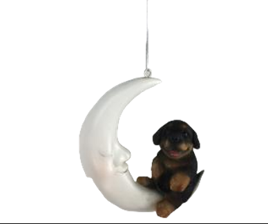 Dog Product