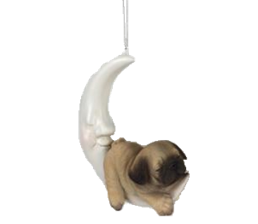 Dog Product