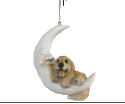 Dog Product