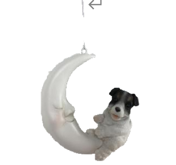 Dog Product