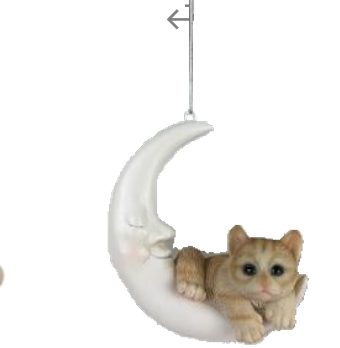 Cat Product