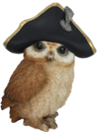 Owl Product