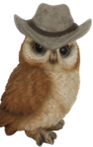 Owl Product