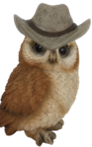 Owl Product