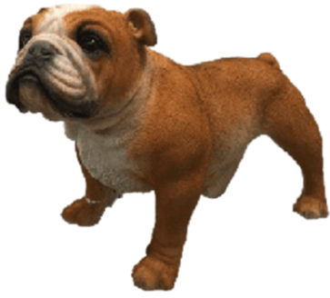 Dog Product