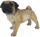 Dog Product