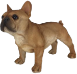 Dog Product