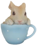 Rabbit Product
