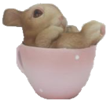 Rabbit Product