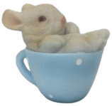 Rabbit Product