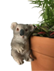 Koala Product