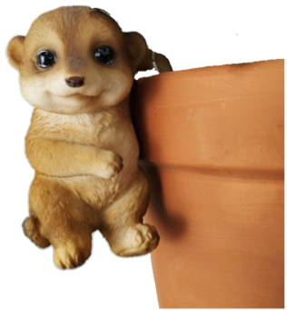 Meerkat Product