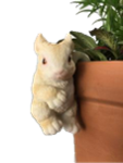 Rabbit Product