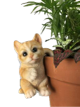 Cat Product