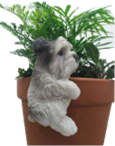 Dog Product