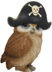 Owl Product