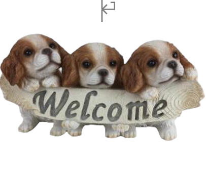 Dog Product