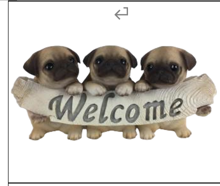 Dog Product