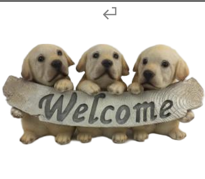 Dog Product