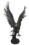 Bird Product